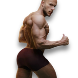 Plum Red Ice Silk Boxer Briefs